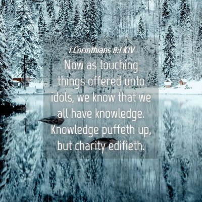 Picture 04 - 1 Corinthians 8:1 KJV - Now as touching things offered unto idols, we - Bible Verse Picture