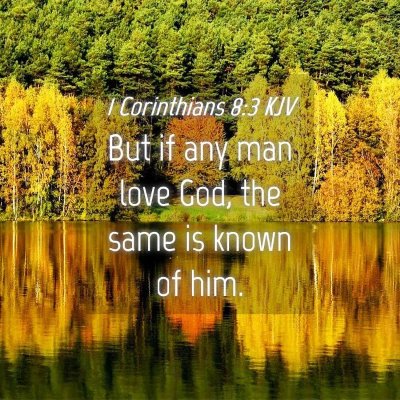 Picture 04 - 1 Corinthians 8:3 KJV - But if any man love God, the same is known of - Bible Verse Picture