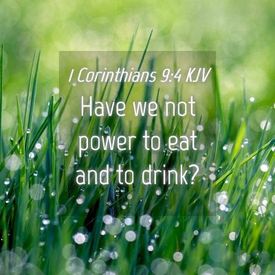 Picture 04 - 1 Corinthians 9:4 KJV - Have we not power to eat and to - Bible Verse Picture