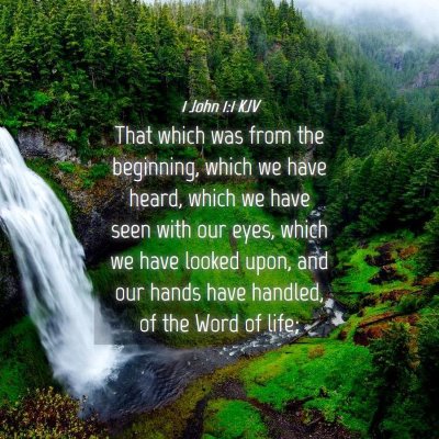 Picture 04 - 1 John 1:1 KJV - That which was from the beginning, which we have - Bible Verse Picture