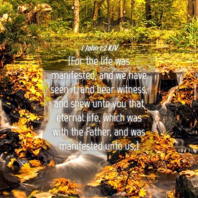 Picture 04 - 1 John 1:2 KJV - (For the life was manifested, and we have seen - Bible Verse Picture