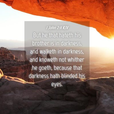 Picture 04 - 1 John 2:11 KJV - But he that hateth his brother is in darkness, - Bible Verse Picture