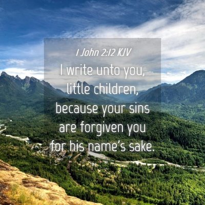 Picture 04 - 1 John 2:12 KJV - I write unto you, little children, because your - Bible Verse Picture