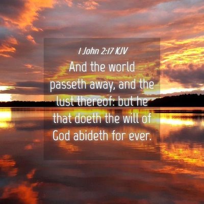 Picture 04 - 1 John 2:17 KJV - And the world passeth away, and the lust thereof: - Bible Verse Picture