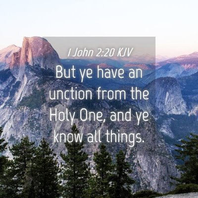 Picture 04 - 1 John 2:20 KJV - But ye have an unction from the Holy One, and ye - Bible Verse Picture