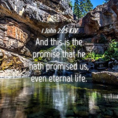 Picture 04 - 1 John 2:25 KJV - And this is the promise that he hath promised us, - Bible Verse Picture