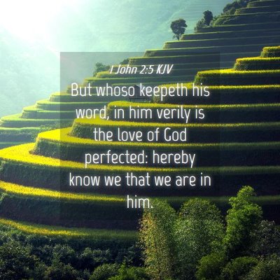 Picture 04 - 1 John 2:5 KJV - But whoso keepeth his word, in him verily is the - Bible Verse Picture