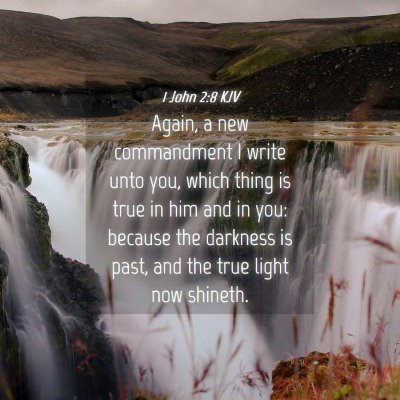Picture 04 - 1 John 2:8 KJV - Again, a new commandment I write unto you, which - Bible Verse Picture