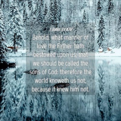 Picture 04 - 1 John 3:1 KJV - Behold, what manner of love the Father hath - Bible Verse Picture