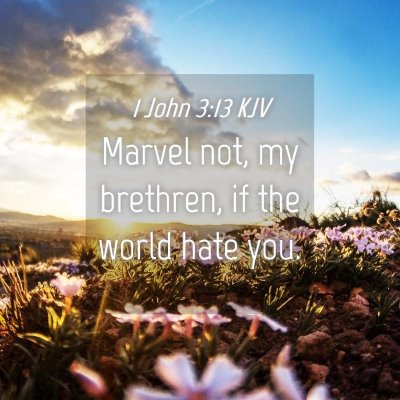 Picture 04 - 1 John 3:13 KJV - Marvel not, my brethren, if the world hate - Bible Verse Picture
