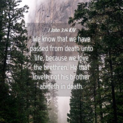 Picture 04 - 1 John 3:14 KJV - We know that we have passed from death unto life, - Bible Verse Picture