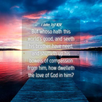 Picture 04 - 1 John 3:17 KJV - But whoso hath this world's good, and seeth his - Bible Verse Picture