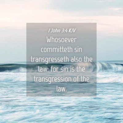 Picture 04 - 1 John 3:4 KJV - Whosoever committeth sin transgresseth also the - Bible Verse Picture