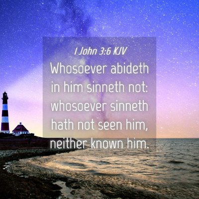 Picture 04 - 1 John 3:6 KJV - Whosoever abideth in him sinneth not: whosoever - Bible Verse Picture