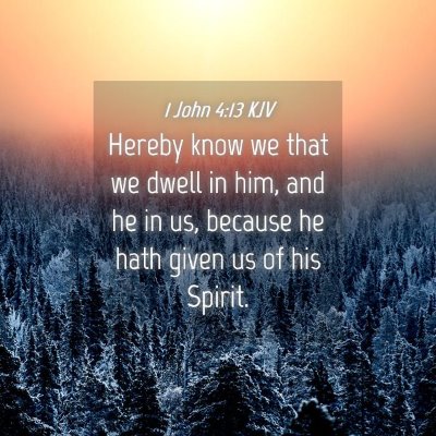 Picture 04 - 1 John 4:13 KJV - Hereby know we that we dwell in him, and he in - Bible Verse Picture