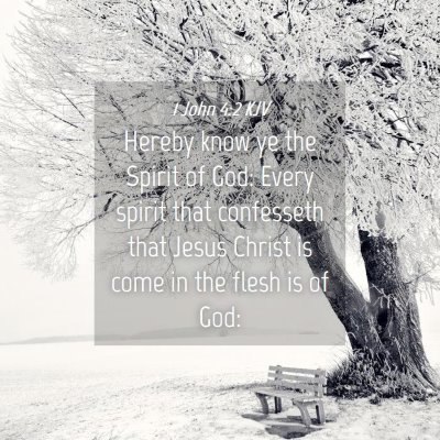 Picture 04 - 1 John 4:2 KJV - Hereby know ye the Spirit of God: Every spirit - Bible Verse Picture