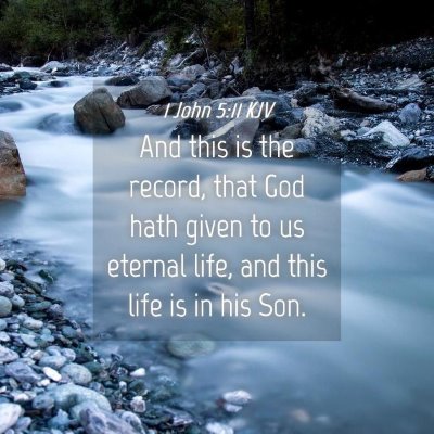Picture 04 - 1 John 5:11 KJV - And this is the record, that God hath given to us - Bible Verse Picture