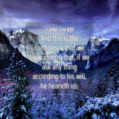 Picture 04 - 1 John 5:14 KJV - And this is the confidence that we have in him, - Bible Verse Picture
