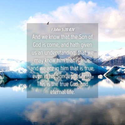 Picture 04 - 1 John 5:20 KJV - And we know that the Son of God is come, and hath - Bible Verse Picture