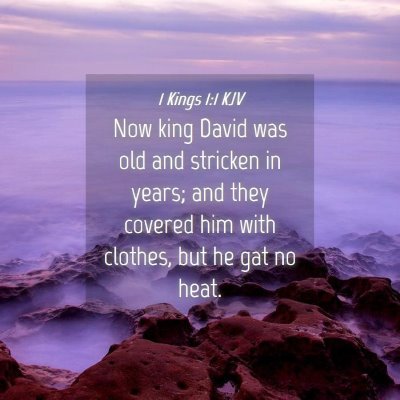Picture 04 - 1 Kings 1:1 KJV - Now king David was old and stricken in years; and - Bible Verse Picture