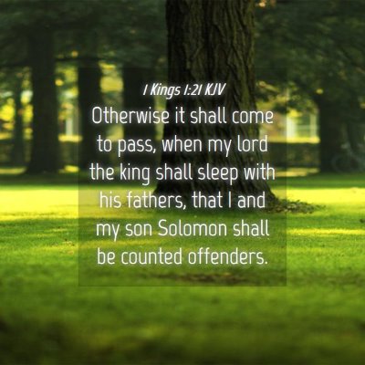 Picture 04 - 1 Kings 1:21 KJV - Otherwise it shall come to pass, when my lord the - Bible Verse Picture
