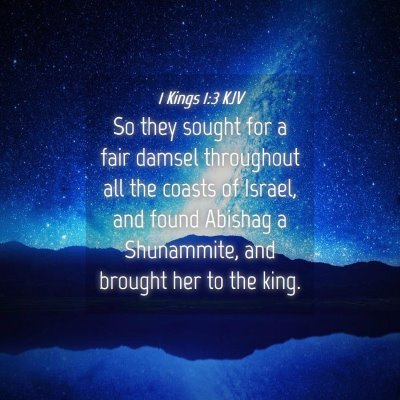 Picture 04 - 1 Kings 1:3 KJV - So they sought for a fair damsel throughout all - Bible Verse Picture