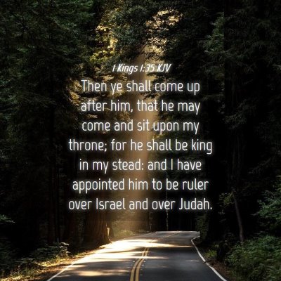 Picture 04 - 1 Kings 1:35 KJV - Then ye shall come up after him, that he may come - Bible Verse Picture
