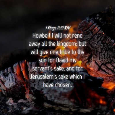 Picture 04 - 1 Kings 11:13 KJV - Howbeit I will not rend away all the kingdom; but - Bible Verse Picture