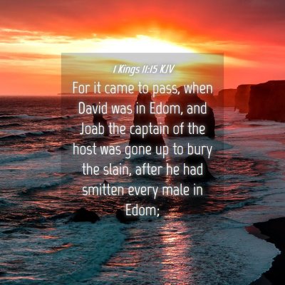 Picture 04 - 1 Kings 11:15 KJV - For it came to pass, when David was in Edom, and - Bible Verse Picture