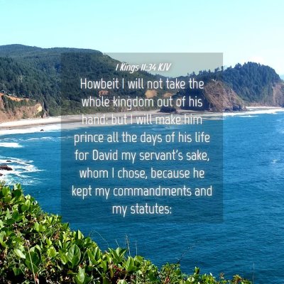 Picture 04 - 1 Kings 11:34 KJV - Howbeit I will not take the whole kingdom out of - Bible Verse Picture