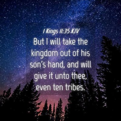 Picture 04 - 1 Kings 11:35 KJV - But I will take the kingdom out of his son's - Bible Verse Picture