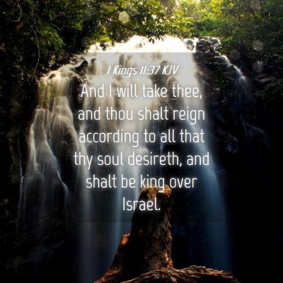 Picture 04 - 1 Kings 11:37 KJV - And I will take thee, and thou shalt reign - Bible Verse Picture