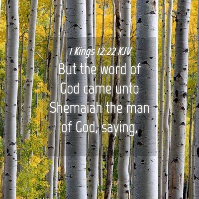 Picture 04 - 1 Kings 12:22 KJV - But the word of God came unto Shemaiah the man of - Bible Verse Picture