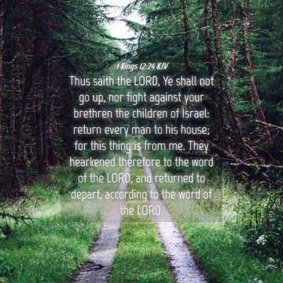 Picture 04 - 1 Kings 12:24 KJV - Thus saith the LORD, Ye shall not go up, nor - Bible Verse Picture
