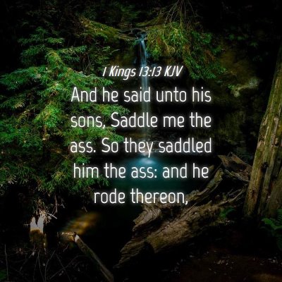 Picture 04 - 1 Kings 13:13 KJV - And he said unto his sons, Saddle me the ass. So - Bible Verse Picture