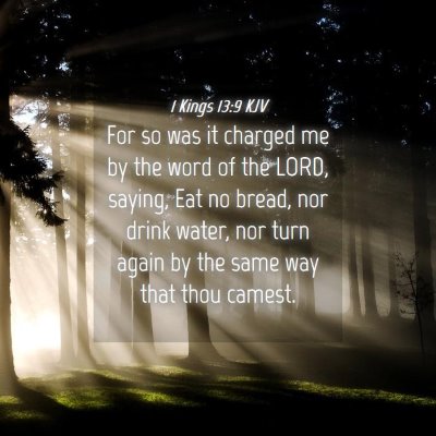 Picture 04 - 1 Kings 13:9 KJV - For so was it charged me by the word of the LORD, - Bible Verse Picture