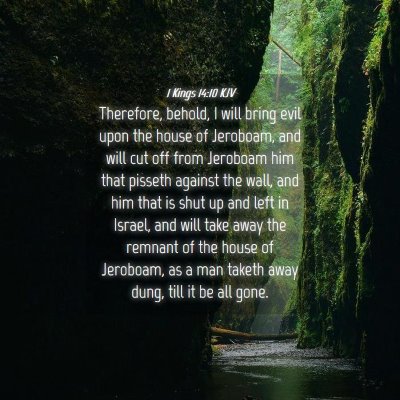 Picture 04 - 1 Kings 14:10 KJV - Therefore, behold, I will bring evil upon the - Bible Verse Picture