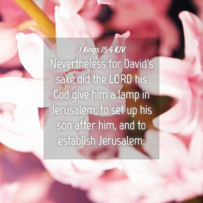 Picture 04 - 1 Kings 15:4 KJV - Nevertheless for David's sake did the LORD his - Bible Verse Picture