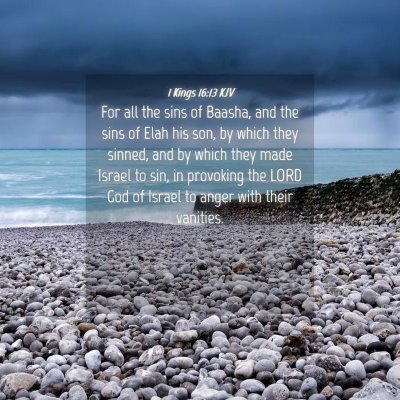 Picture 04 - 1 Kings 16:13 KJV - For all the sins of Baasha, and the sins of Elah - Bible Verse Picture