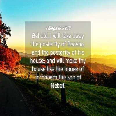 Picture 04 - 1 Kings 16:3 KJV - Behold, I will take away the posterity of Baasha, - Bible Verse Picture