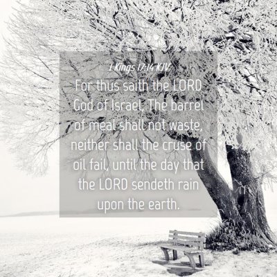 Picture 04 - 1 Kings 17:14 KJV - For thus saith the LORD God of Israel, The barrel - Bible Verse Picture