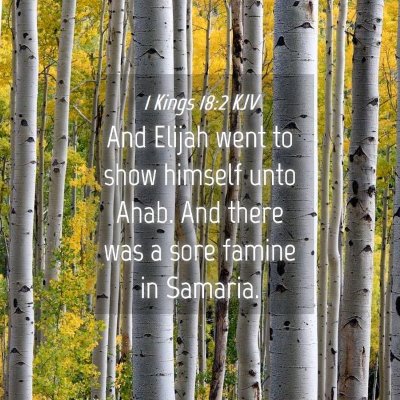 Picture 04 - 1 Kings 18:2 KJV - And Elijah went to show himself unto Ahab. And - Bible Verse Picture