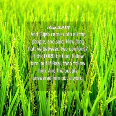 Picture 04 - 1 Kings 18:21 KJV - And Elijah came unto all the people, and said, - Bible Verse Picture