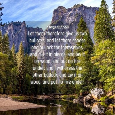 Picture 04 - 1 Kings 18:23 KJV - Let them therefore give us two bullocks; and let - Bible Verse Picture