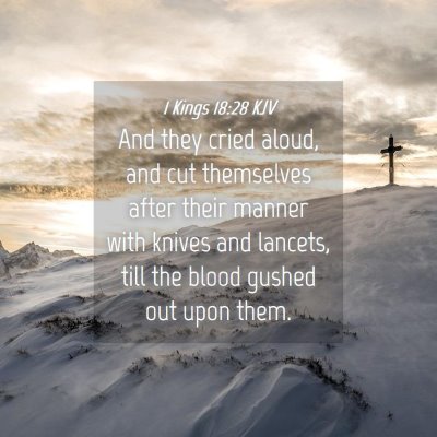 Picture 04 - 1 Kings 18:28 KJV - And they cried aloud, and cut themselves after - Bible Verse Picture