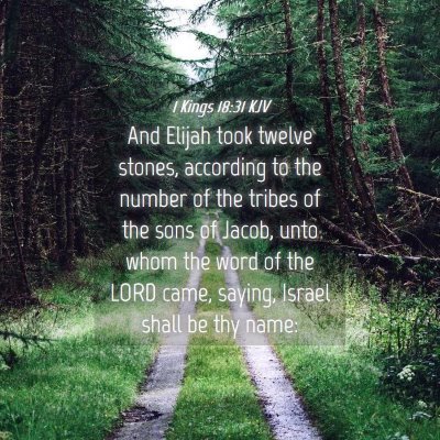 Picture 04 - 1 Kings 18:31 KJV - And Elijah took twelve stones, according to the - Bible Verse Picture