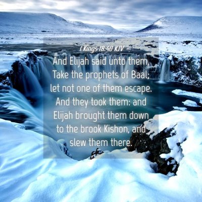 Picture 04 - 1 Kings 18:40 KJV - And Elijah said unto them, Take the prophets of - Bible Verse Picture