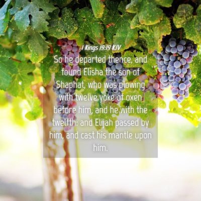 Picture 04 - 1 Kings 19:19 KJV - So he departed thence, and found Elisha the son - Bible Verse Picture