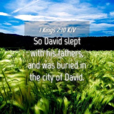 Picture 04 - 1 Kings 2:10 KJV - So David slept with his fathers, and was buried - Bible Verse Picture