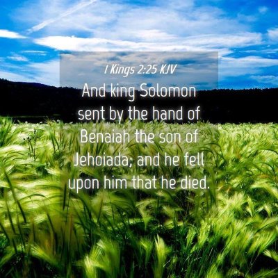 Picture 04 - 1 Kings 2:25 KJV - And king Solomon sent by the hand of Benaiah the - Bible Verse Picture